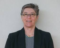 Preliminary Interim Report