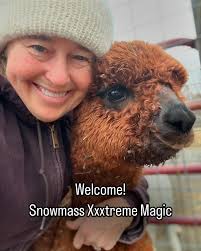 Misty Pond Alpaca and Maremmas