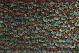 Maybe you would like to learn more about one of these? Wallcovering Peacock Organic Feathers By Koket