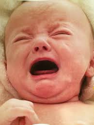 Dudley Bell (@docdudleybell)