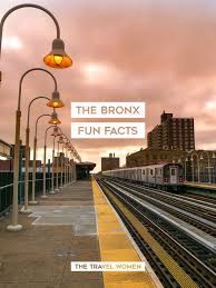 Forgotten History Of The Bronx Bronx New York City Travel Bronx Zoo