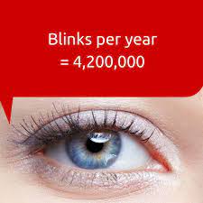 Cool Eye Facts The Human Eye Blinks An Average Of 4 200 000 Times A Year Eye Facts Cool Eyes Eyes