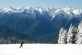 Image result for "new article" -site:wikipedia.org -site:wikimedia.org