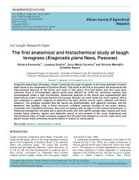 Image result for Eragrostis punctiglandulosa