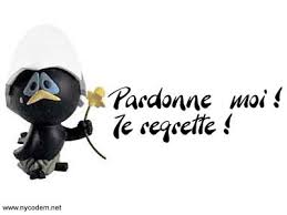 Image result for images de pardonne-moi