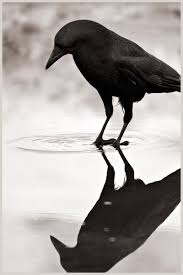 Pin On Spookylady S Favorite Halloween Pins