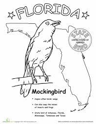 Florida beach community (wildlife) florida mangrove and wildlife; Florida State Bird Florida State Bird State Birds Bird Coloring Pages