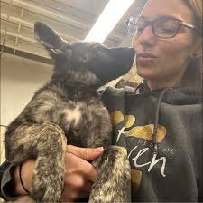 Sydney Vickers (@hammie.anders) • Facebook