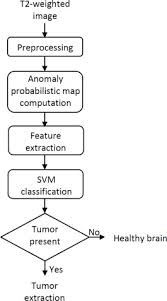 Automated Multi Contrast Brain Pathological Area Extraction