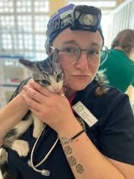 Get to Know Our Team