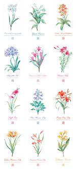 Pin By Vicky Su On Water Color Flower Trees Leafs Wildflower Tattoo Birth Month Flowers Small Flower Bouquet