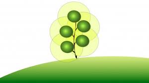 The Java Spring Tutorial Learn Java S Popular Web Framework Torrent John Purcell Courses Learn Viral