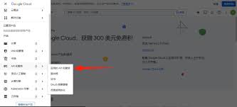 如何启用Google Cloud API并下载JSON凭据文件- 详细步骤指南2025
