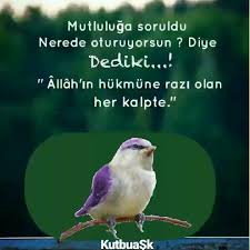 223 Begenme 0 Yorum Instagram Da Kutbu Ask Kutbuask Kutbuask Aglama Dedi Dervis Eller Var Sema Icin Goruntuler Ile Dualar Ozlu Sozler Inanc Sozleri