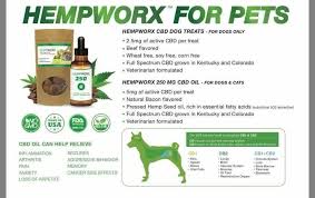 Hempworx For Pets Your Pup Will Thank You Cdb Oil Pure