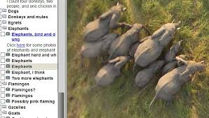Discover 21 of the biggest animals on the planet! Categorized African Animals In Google Earth Google Earth Blog