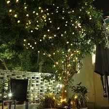 Product title solar powered tree trunk stump led light, waterproof. Outdoor Tree Lights Solar You Ll Love In 2021 Visualhunt