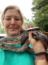 Charleston SC serpentarium animal identification