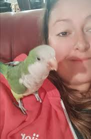 What is the identity of this bird?