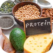 Các loại thực phẩm giúp bổ sung protein cho cơ thể