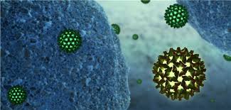Hepatitis b is spread when blood, semen, or other body fluids from a person infected with the virus enters the body of someone who is not infected. Vierpunktmutation Konnte Hinweis Auf Verlauf Einer Hepatitis B Infektion Geben