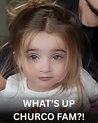 Introduction of pet dog Colson