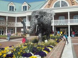 Virginia Zoo Norfolk Va Kid Friendly Activity Reviews Great Places To Travel Norfolk Virginia Norfolk
