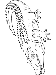 The coloring pages presented here can be freely downloaded for your kids' personal use. Crocodile Coloring Pages Download And Print Crocodile Coloring Pages