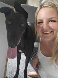 Traction for teddy's appeal has stopped