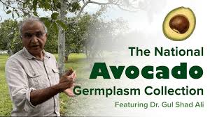 Image result for Dark Avocado 1977 Fedders