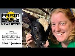 Interview with Eileen Jensen at the Dairy Cow Birthing Center