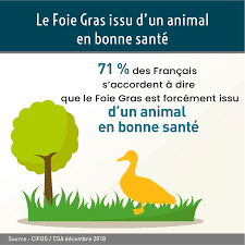 Check spelling or type a new query. Enquete Exclusive Csa Fetes De Fin D Annee 2018