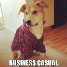 Great job meme funny gags memes kitty lol birds cats animals image. 13 Animal Memes That Sum Up The Job Search Process Glassdoor