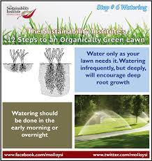 Don't water so long that it runs down the street. Molloy College Step 6 Watering Is Your Lawn Dying Of Thirst Or Drowning