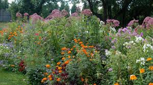 Plant taller flowers towards the rear of your bed. How To Plan And Maintain A Perennial Garden University Of Maryland Extension