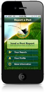 Termites, powder pests affecting public health. Cdfa Apps Report A Pest