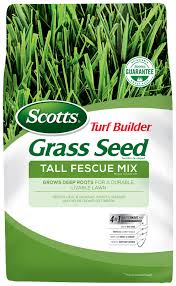 When grass seed germination is completed and the seed has sprouted, sufficient soil moisture is still necessary. Scotts Turf Builder Grass Seed Tall Fescue Mix Scotts