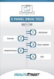 We did not find results for: Schedule A 5 Panel Hair Drug Test Online Health Street