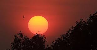 Tập Thơ Chọn Lọc - Nhất Lang (Nguyễn Thành Sáng) - Page 39 Images?q=tbn%3AANd9GcTuAPjHsgMvmkVD09lTuT5wUGWLxhF03RP9LQ&usqp=CAU