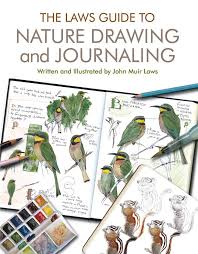 Bird On The Head Figure Of Speech The Laws Guide To Nature Drawing And Journaling John Muir Laws Nature Drawing Nature Journal Bird Drawings