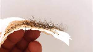 05 Diy Strip Sugar Wax Soft Sugar For Wax Strips Youtube