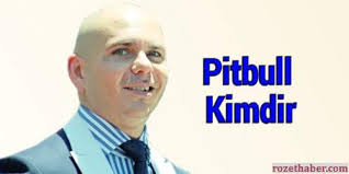 Pitbull Kimdir Rozet Haber 21 11 2020