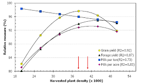 corn plant density for maximum grain and silage production