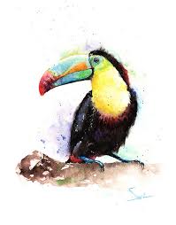 Watercolor Toucan Painting Original Bird Art Toucan Decor Toucan Wall Art Toucan Artwork Bird Artwork Bird Home Decor Keel Billed Toucan Art Watercolor Bird Birds Painting