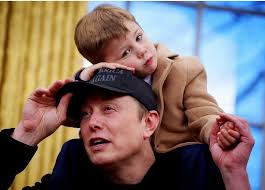 Elon Musk: A Diagnosis and Warning for America