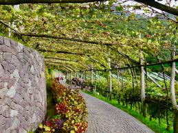 Trautmannsdorfer gärten by blichb, 12 октября, 2017. Wunderschon Die Aussergewohnlichen Garten Von Schloss Trautmannsdorf Wunderschon