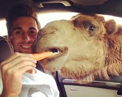 De 10:30 a 18:00 cierre parque: Arbeloa Se Divierte En El Safari Madrid Marca Com