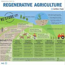 Regenerative Agriculture Is A Conservation And Rehabilitation Approach To Food And Farming Systems It Foc Farming System Agriculture Education Agriculture