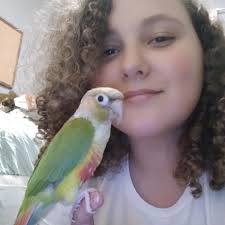 Introduction and photo of pet mango