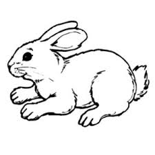 Hopping Bunny Catch Something Coloring Pages Kids Play Color In 2020 Bunny Coloring Pages Animal Coloring Books Zoo Animal Coloring Pages